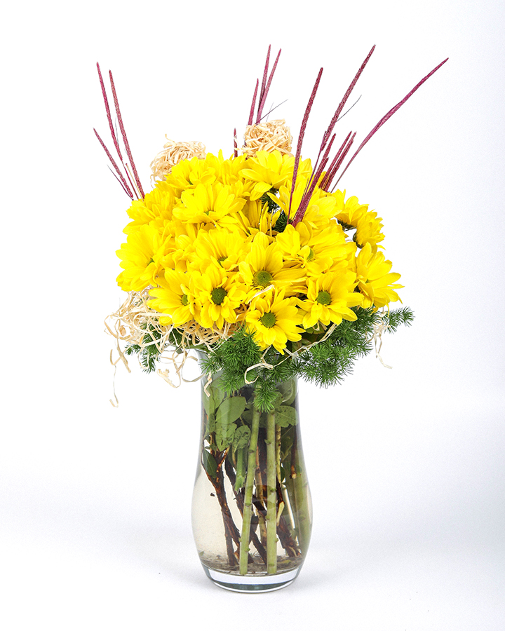 Cam Vazoda Sarı Papatyalar