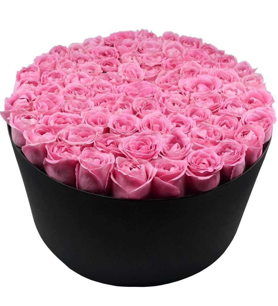 Dev Kutuda Pembe Gül