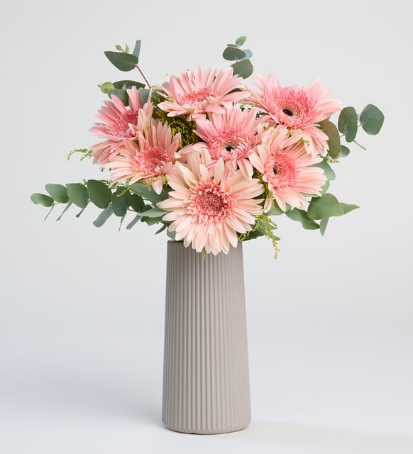 Bej Çizgili Vazoda Pembe Gerbera Çiçekleri