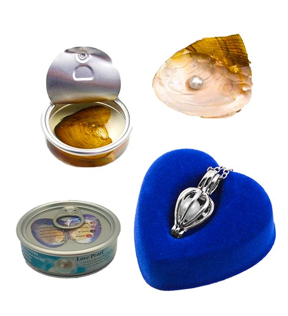 İstiridye İçinde Gerçek İnci Kolye